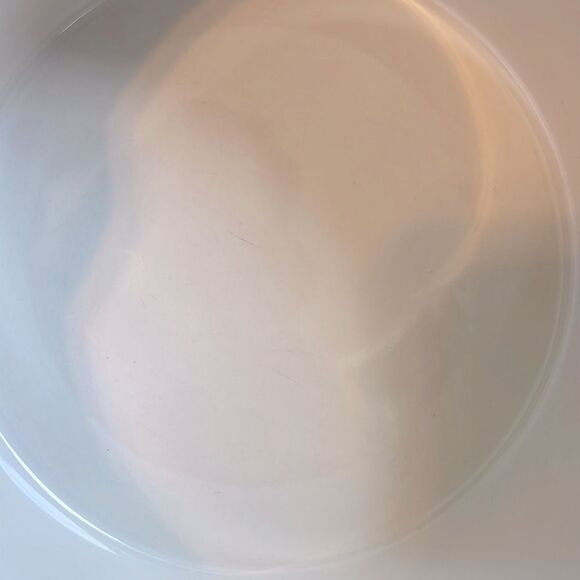 Rae Dunn JINGLE BONES Dog Bowl. Christmas. - Picture 8 of 8